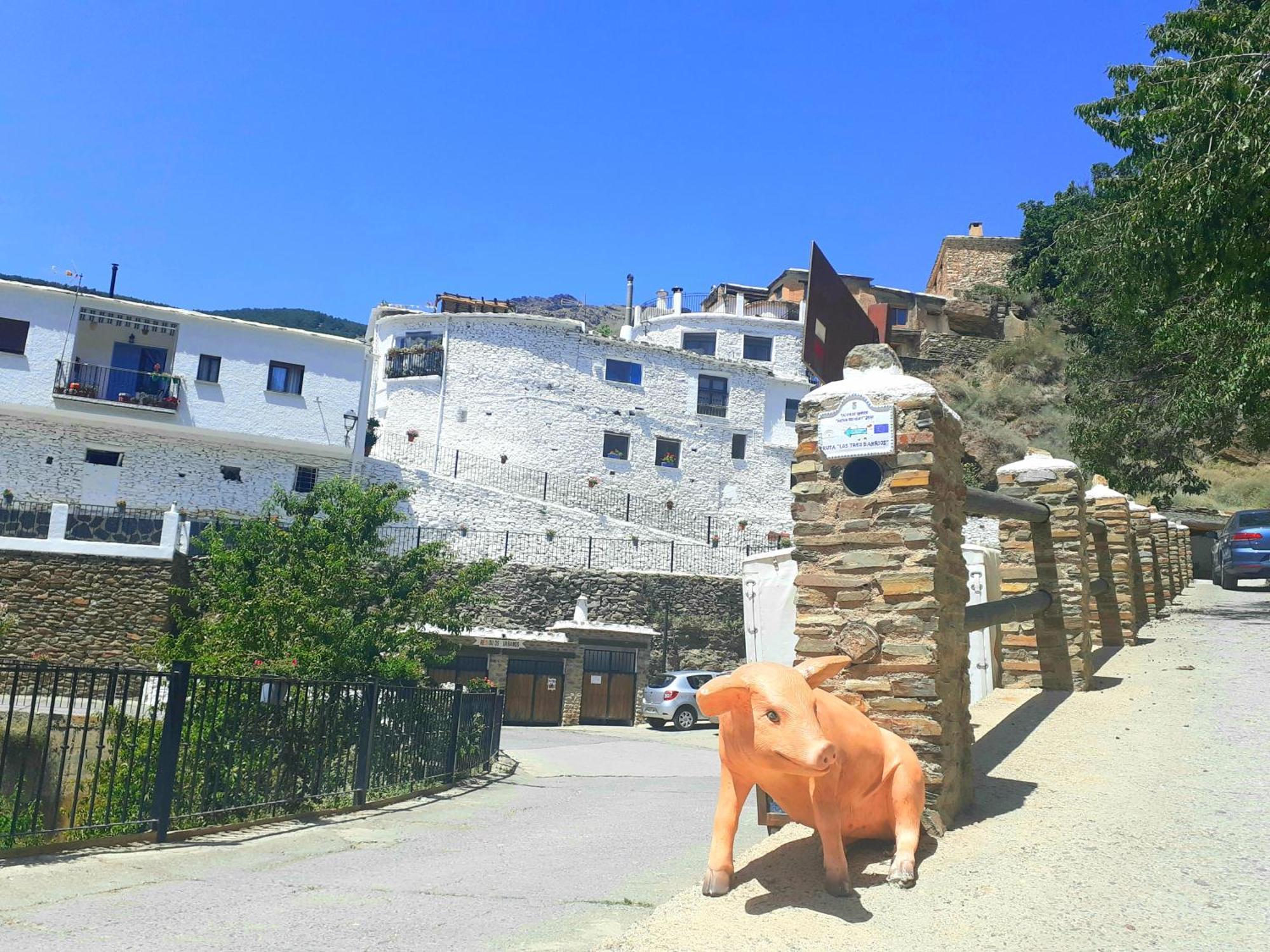 La Casa De La Bombilla Verde Trevélez Екстериор снимка
