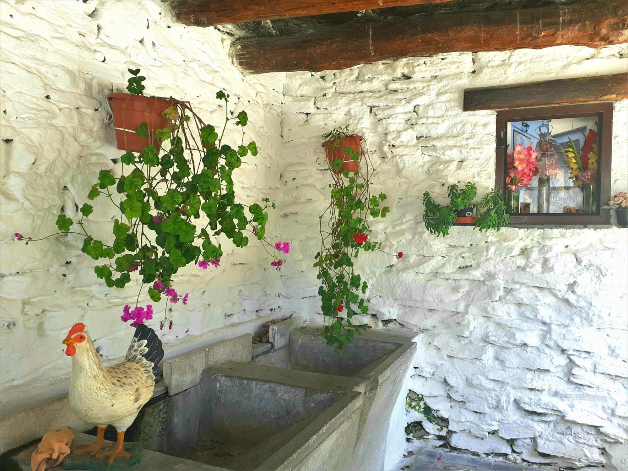 La Casa De La Bombilla Verde Trevélez Екстериор снимка